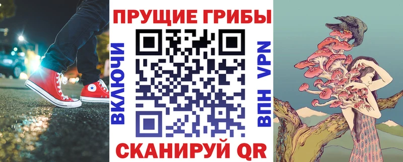 Псилоцибиновые грибы Psilocybine cubensis  Артём 